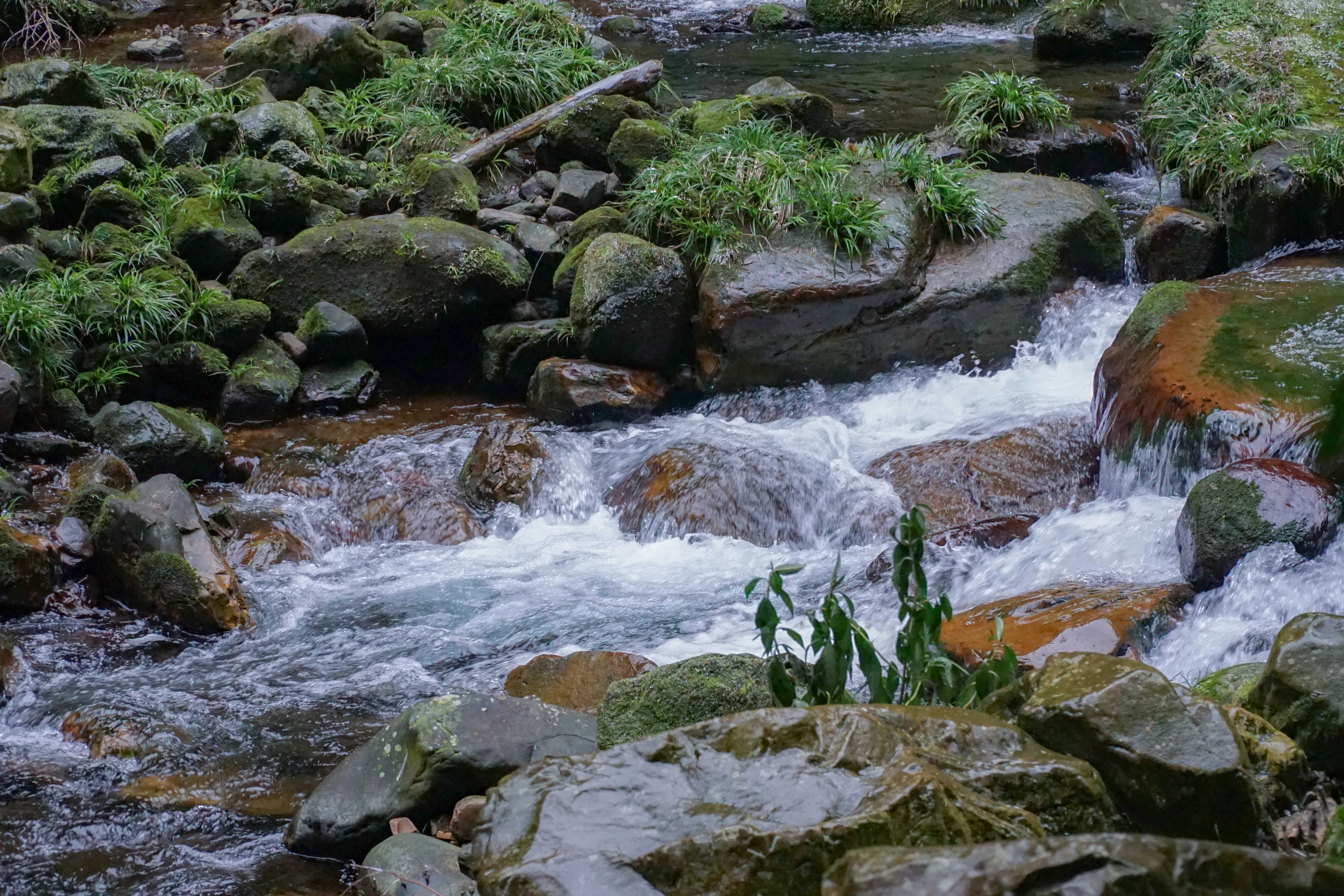 照片